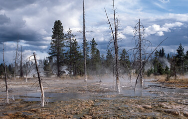 Lake with hot springs and dead trees, Yellowstone National Park, USA