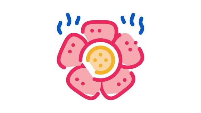 kind of malaysian flower Icon Animation. color kind of malaysian flower animated icon on white background