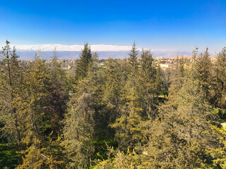 View of Bekaa Valley, Baalbek, Lebanon. Forest, blue sky. Copy space
