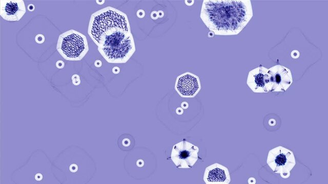 Bacteriological research. Blue and white cells on a blue background.