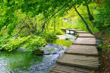 Summer landscape in Plitvice National Park, Croatia, Europe