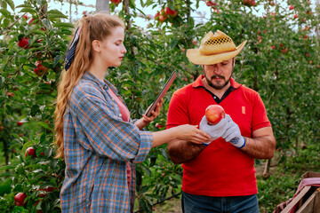 Fruit growers with digital tablet checking quality in modern organic orchard