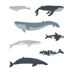 Set of cartoon Whale. Vector cartoon collection with different Whale. Flat vector illustration.