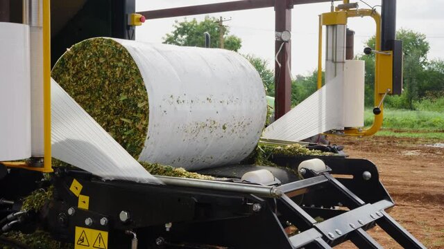 Close up view of modern agriculture machine packing the silage bales with plastic. silage is fermented high-moisture stored fodder which can be fed to cattle sheep and other such ruminants