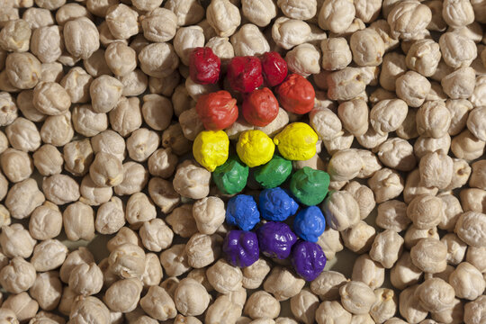 Closeup shot of some lgpt colored and uncooked chickpea