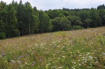 Bieszczady, Poland