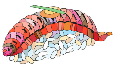 Zentangle salmon nigiri. Hand drawn decorative vector illustration