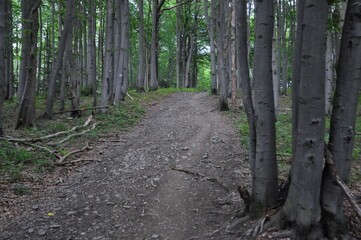 Bieszczady, Poland