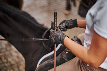 Rider holding the reins. Horse and rider