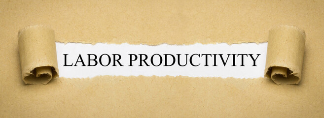 Labor productivity