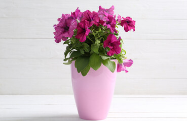 Fototapeta na wymiar Beautiful pink petunia flowers in plant pot on white wooden table