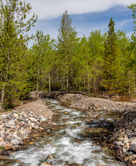 Castle River flowing to Beaver Mines Lake. Beaver Mines Lake PRA, Alberta, Canada