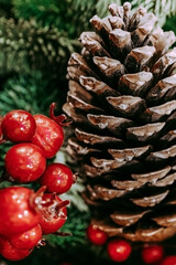 Forest cones and red berries. New Year's composition. Christmas mood