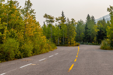 Obraz premium Driving into the fall colours. Highwood Provincial Recreation Area, Alberta, Canada