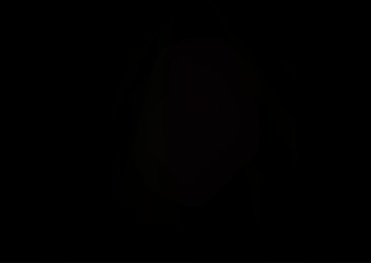 Dark Silver, Gray vector glossy abstract template.