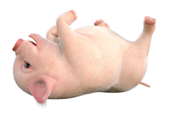 3D Rendering Pink Piglet on White