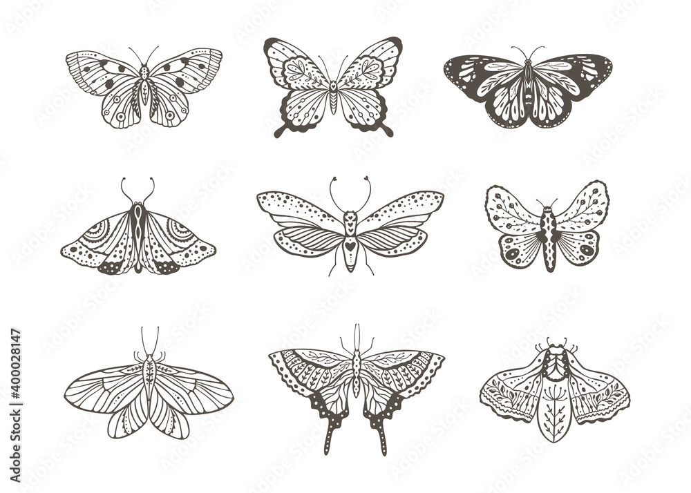 Wall mural boho vintage vector art design with bohemian butterfly. isolated insect icon set in simple style, ha