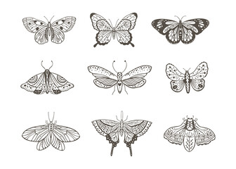 Boho vintage vector art design with bohemian butterfly. Isolated insect icon set in simple style, hand drawn illustration ornate collection, black on a white background. © trihubova