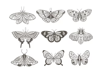 Cercles muraux Pour elle Conception d& 39 art vectoriel vintage Boho avec papillon bohème. Icône d& 39 insecte isolé dans un style simple, collection ornée d& 39 illustrations dessinées à la main, noir sur fond blanc.