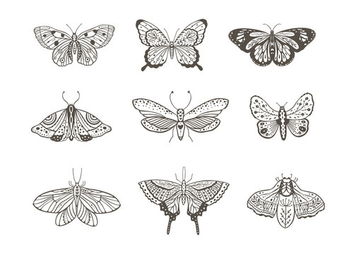 Fototapeta Boho vintage vector art design with bohemian butterfly. Isolated insect icon set in simple style, hand drawn illustration ornate collection, black on a white background.