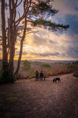 December 2020 morning walk around Hindhead Common
