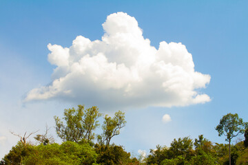 Obraz premium Mountain sky tree in Thailand