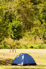 Middle tent in rainforest