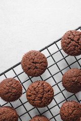 Homemade chocolate muffins cool on a wire rack. Cupcakes on a white background. Top view. Place for text