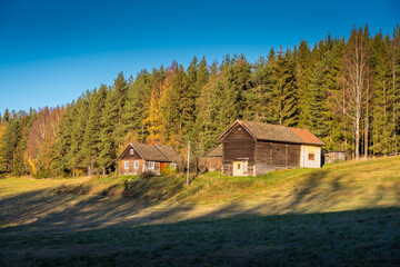 small farm in the woods