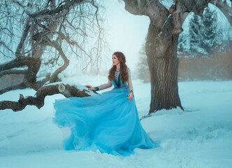 Fantasy young woman in image of medieval princess sits on a tree in luxurious blue vintage dress....