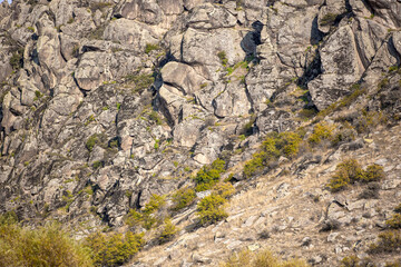 Natural rocky hill in daylight, plants and clear blue sky in the background.