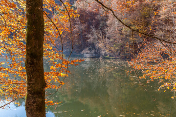 Sevenlakes National Park in Autumn Bolu Turkey. Yedigoller milli parkı