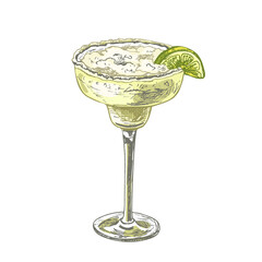 Alcohol classics cocktail margarita glass. Vector vintage hatching