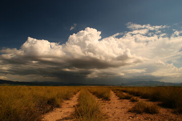 Fototapeta na wymiar Bifurcación de caminos en paisaje estepario en forma de espartal o espartizal, con nubes de tormenta al fondo. Cieza (Murcia).