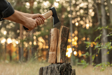 Man splitting firewood with axe in forest, closeup