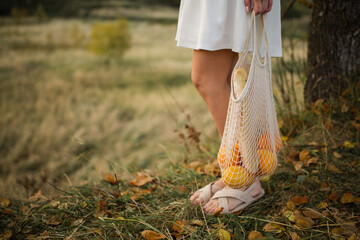Girl and oranges in the grid