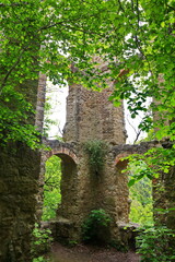 Die Burgruine Neckarburg bei Rottweil