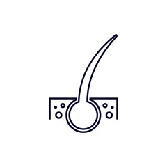 Hair follicle logo design vector template, Organs logo design concept, Icon symbol