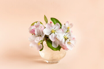 Naklejka na ściany i meble Fresh Tender Apple Tree Flowers in a Glass Vase,Mothers day concept