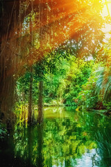 The wild nature. Beautiful landscape of  tropical forest with the river. Vertical image.