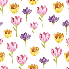 Fototapeta premium Watercolor seamless pattern Multicolored crocuses. Floral elements for design, decoration