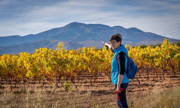 woman in blue sportswear walking and enjoying the vineyards in autumn.