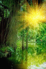 Fototapeta na wymiar The wild nature. Beautiful landscape of tropical forest with the river with reflection of sunlight at hot summer day. Vertical image.