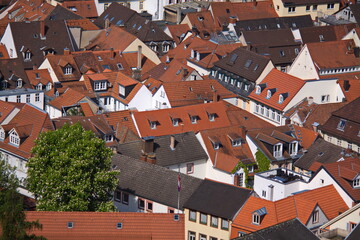 Roofs of houses in old town of Heidelberg from the castle, Germany, Europe
