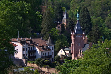 Fototapeta na wymiar View from the castle of Heidelberg, Germany, Europe 