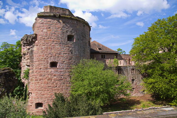 Fototapeta premium The castle of Heidelberg, Germany, Europe 