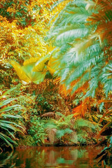 Fototapeta na wymiar Landscape of tropical forest with the river.