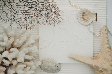 seashells pearls corals on a textured white background . space for text. the view from the top . notepad
