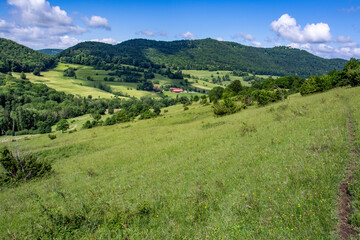 Fototapeta na wymiar Naturschutzgebiet Eichhalde mit Burg Teck, Bissinger Tal, Schwäbische Alb