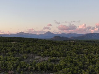 Obraz premium Vistas de un bosque de Mallorca con arboles, montañas al fondo, cielo azul y nubes.